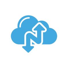 NARBULUT 20GB YEDEKLEME ALANI 1 SERVER 1AY - ESSENTIAL EDITION